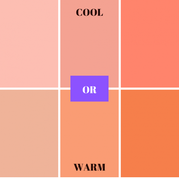 Example of a cool and warm DIY color palette example for cool undertone. #DIY #colorpalette #warmundertone #livingcoral #coolundertones #colorforyourstyle